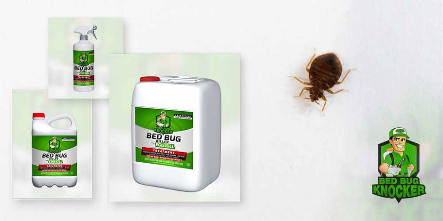 Pourquoi choisir l'anti-punaise de lit de Bed Bug Knocker ?